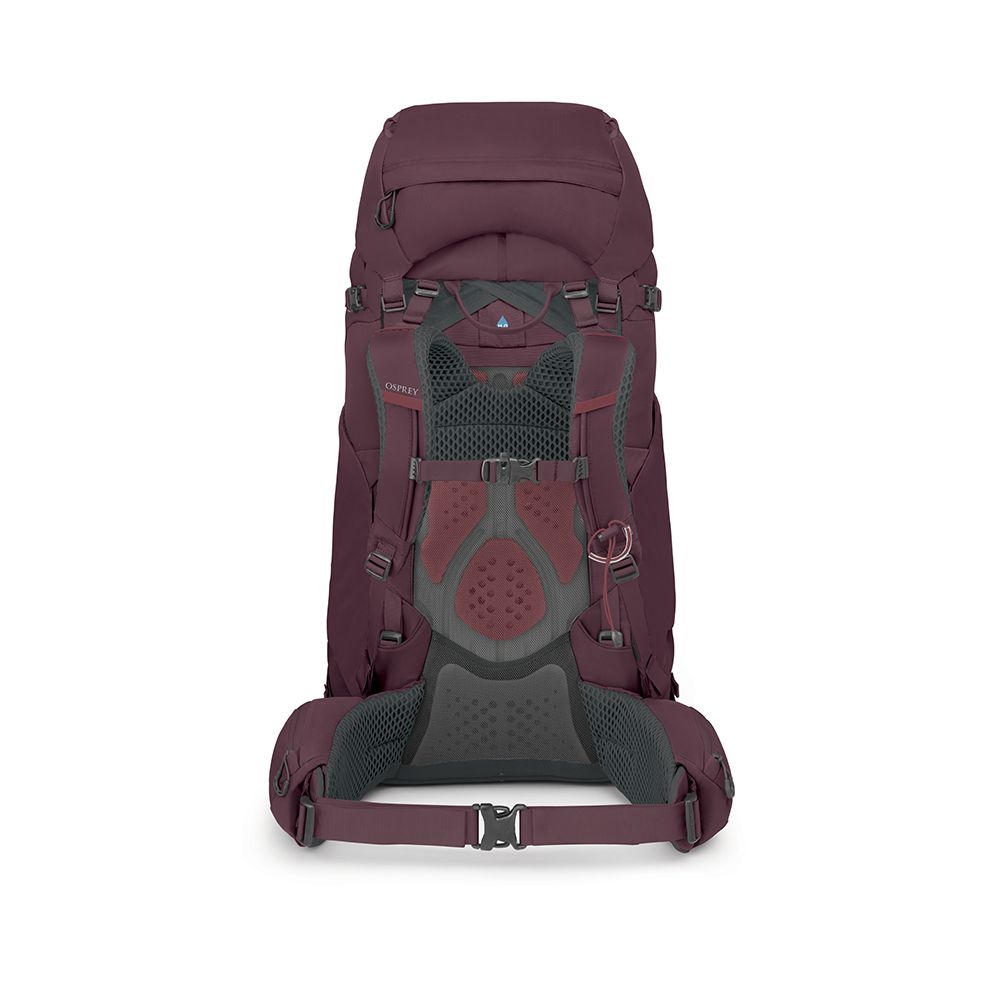 kyte-68-purple-2