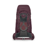 kyte-68-purple-2