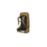 rook-brown-2