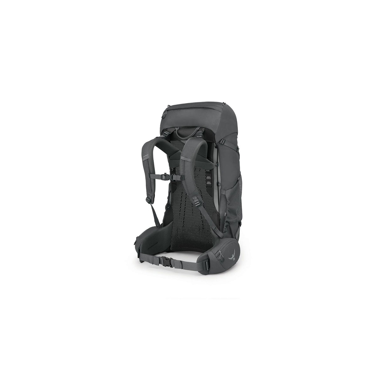 rook-silver-2