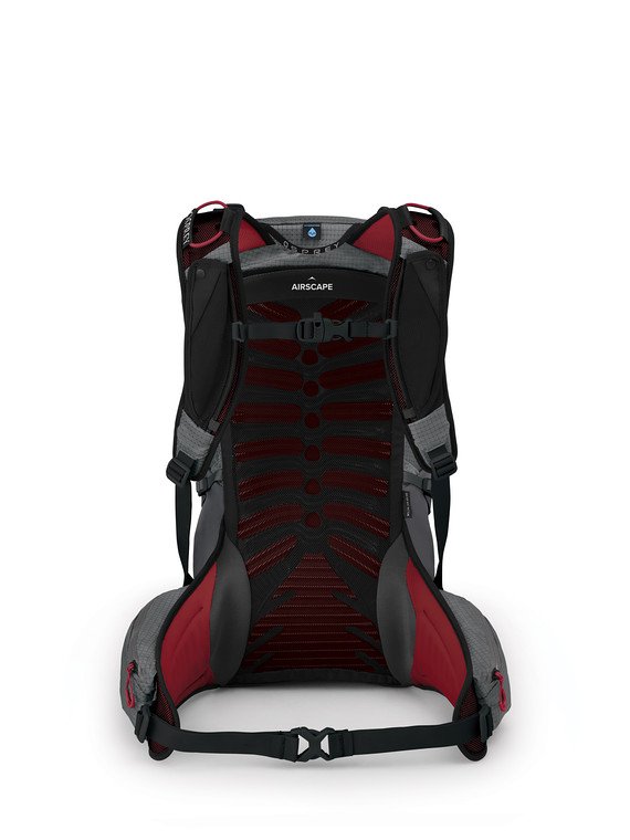 talonpro20_s21_back_carbon