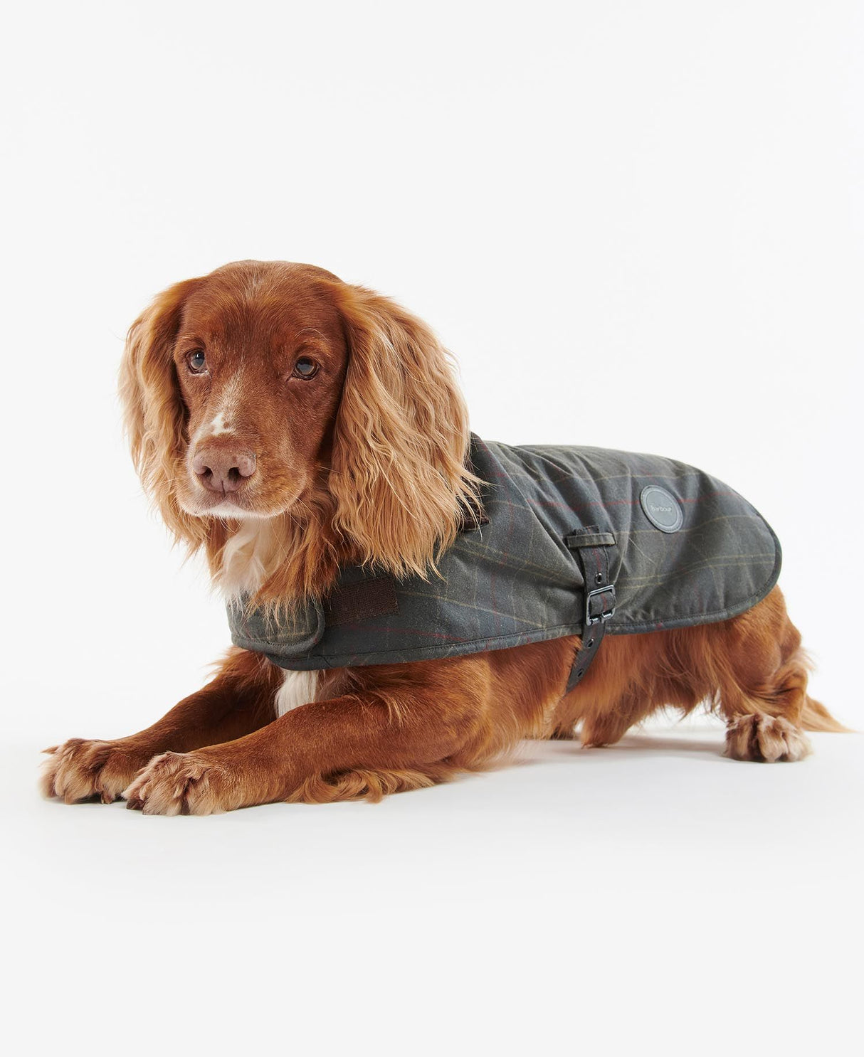 tartan-dog-coat-2