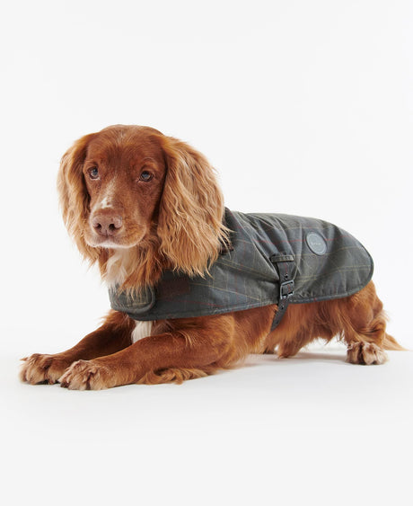 tartan-dog-coat-2