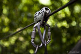 vdsteenxxl_petzl_tandem_speed_2